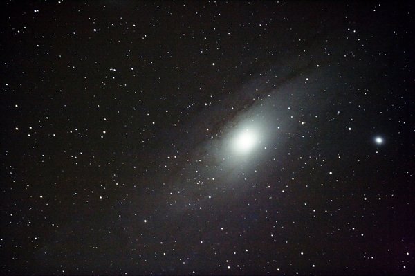 M31
