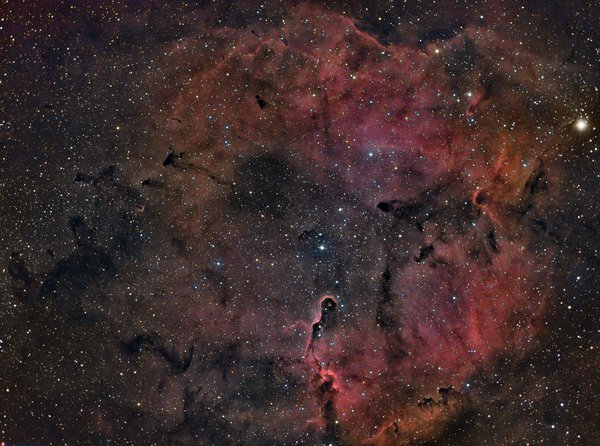 IC1396